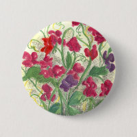 Dessin d'aquarelle du jardin de pois doux rouge
