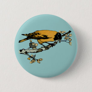 Macaron Rond 5 Cm Développement de l'illustration d'oiseaux Vintages