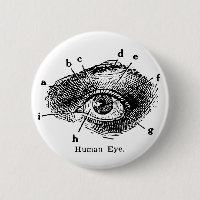 Diagramme vintage d'oeil humain