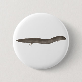 Macaron Rond 5 Cm Dipneuste sud-américain