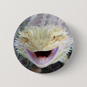 Macaron Rond 5 Cm Dragon barbu heureux superbe