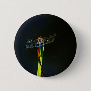 Macaron Rond 5 Cm Dragonfly bleu et noir sur gazon vert et rouge