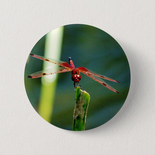 Macaron Rond 5 Cm Dragonfly frontale rouge et noire (Devant)