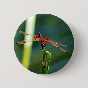 Macaron Rond 5 Cm Dragonfly frontale rouge et noire