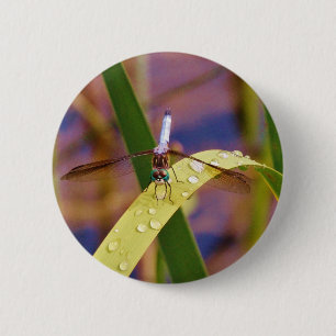 Macaron Rond 5 Cm Dragonfly sur la feuille de pluie