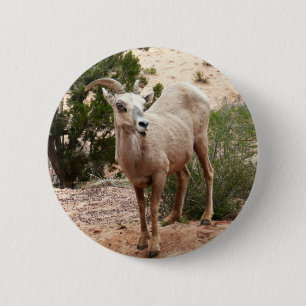 Macaron Rond 5 Cm Drôle Mouton de Bighorn dans le parc national Zion