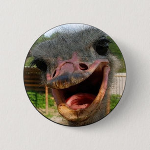 Macaron Rond 5 Cm Drôle Ostrich Bird Photo What's Up