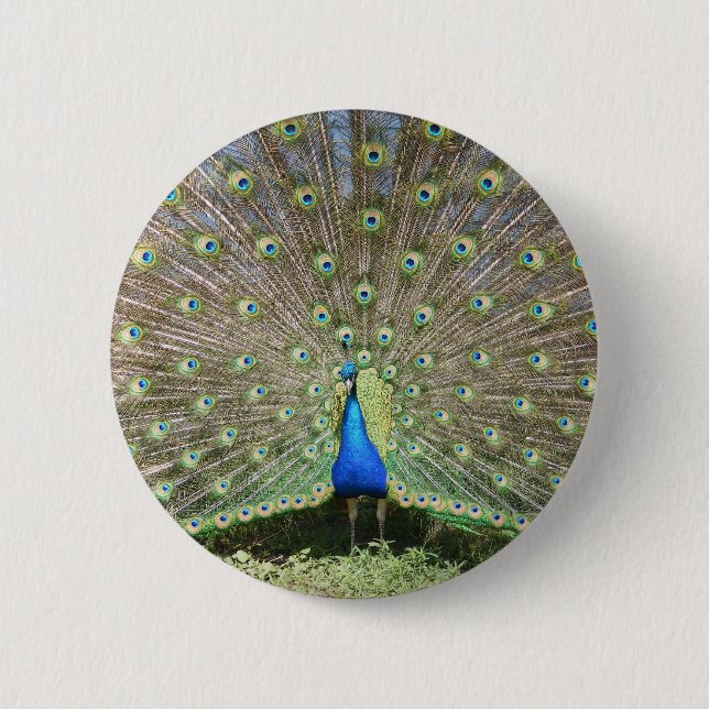 MACARON ROND 5 CM DSCF1062 (Devant)