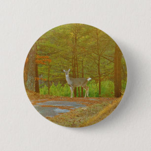 MACARON ROND 5 CM DSCF4041.JPG