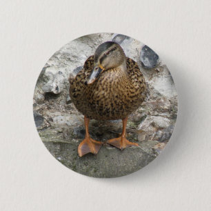 Macaron Rond 5 Cm Duck on a Wall Button
