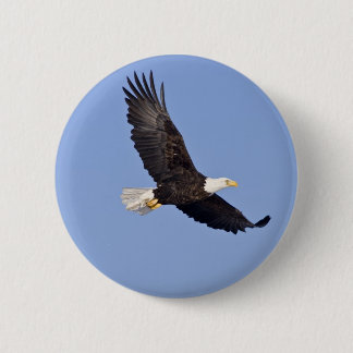 Macaron Rond 5 Cm Eagle chauve américain