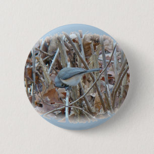 Macaron Rond 5 Cm Éléments de coordination de l'oiseau-chanteur de s