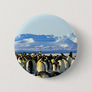 Macaron Rond 5 Cm Emperor penguins