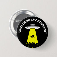 Enlèvement de chats Aliens amusant