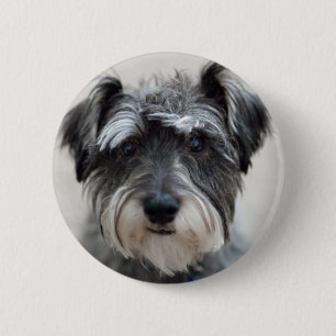Macaron Rond 5 Cm Épingle ronde de chien Schnauzer