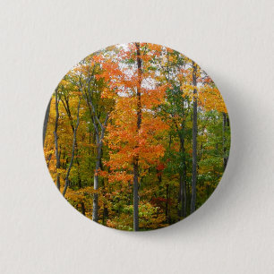Macaron Rond 5 Cm Érables en automne Photographie de la nature