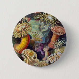 Macaron Rond 5 Cm Ernst Haeckel - Actiniae