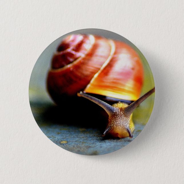 Macaron Rond 5 Cm Escargot (Devant)
