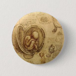 Macaron Rond 5 Cm Études des embryons