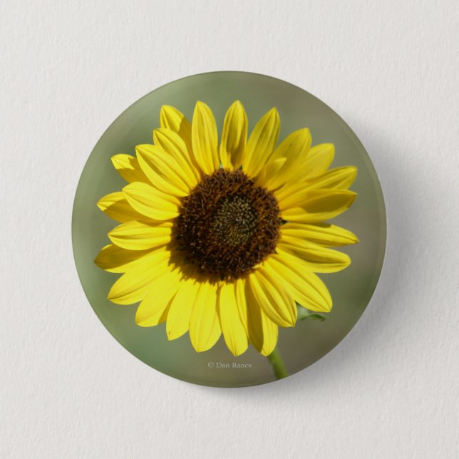 Macaron Rond 5 Cm F47 Fleur sauvage jaune Tournesol annuel commun (Devant)