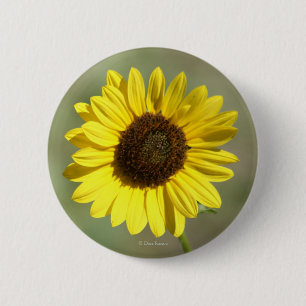 Macaron Rond 5 Cm F47 Fleur sauvage jaune Tournesol annuel commun