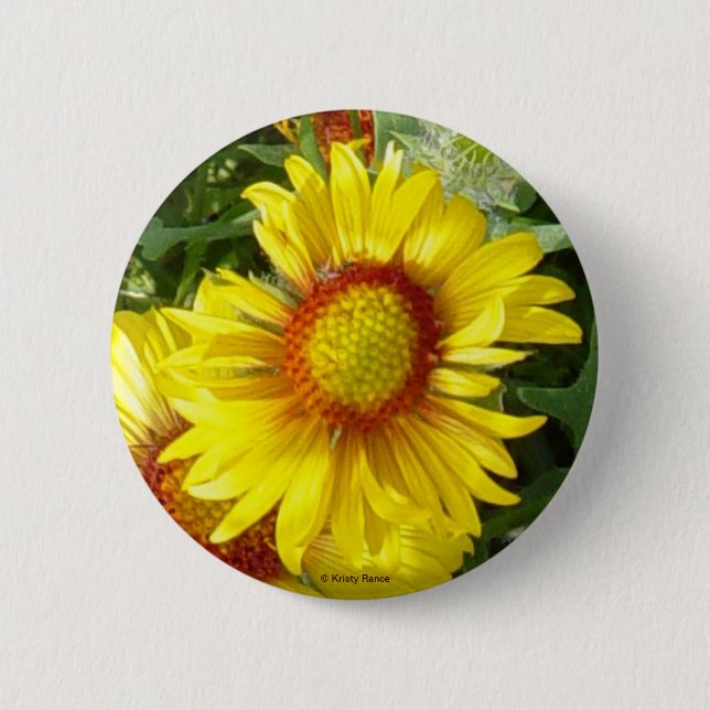 Macaron Rond 5 Cm F6 Fleur sauvage jaune Gaillardia (Devant)