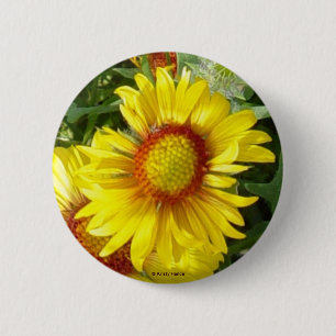 Macaron Rond 5 Cm F6 Fleur sauvage jaune Gaillardia