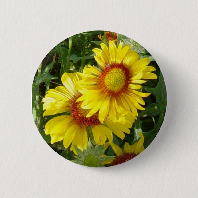 Macaron Rond 5 Cm F6 Fleurs sauvages jaunes Gaillardia (Devant)