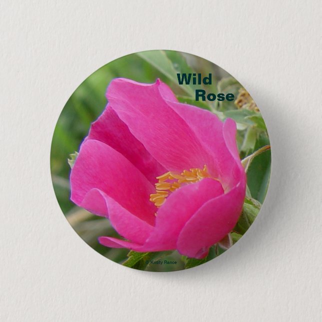Macaron Rond 5 Cm F7 Alberta Wild Rose (Devant)