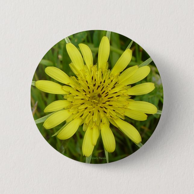 Macaron Rond 5 Cm F9 Jaune Fleur sauvage Barbe de chèvre Tragopogon  (Devant)
