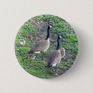 Macaron Rond 5 Cm Famille canadienne d'oies