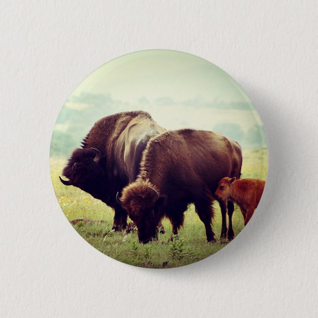 Macaron Rond 5 Cm Famille de Buffalo Américain (Bison) (Devant)