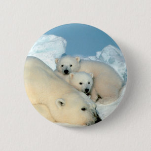 Macaron Rond 5 Cm Famille d'ours blanc