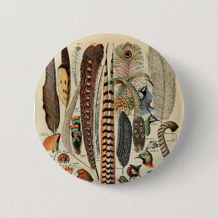 Macaron Rond 5 Cm Feather Bird Wildlife Plumes d'antiquités