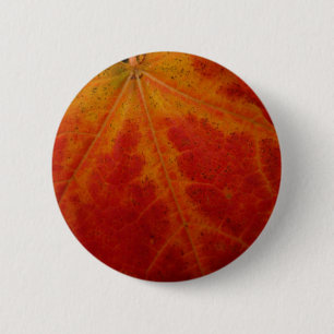 Macaron Rond 5 Cm Feuille de Érable Rouge Photographie de Nature Abs