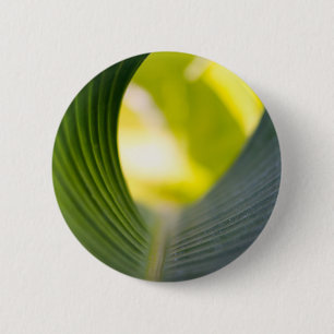 Macaron Rond 5 Cm Feuille verte