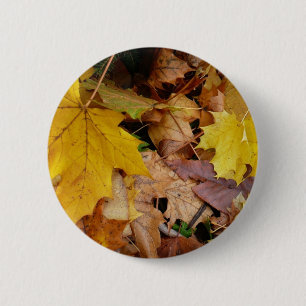 Macaron Rond 5 Cm Feuilles de Érable Tombées Jaune Automne Nature