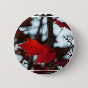 Macaron Rond 5 Cm Feuilles de vacances