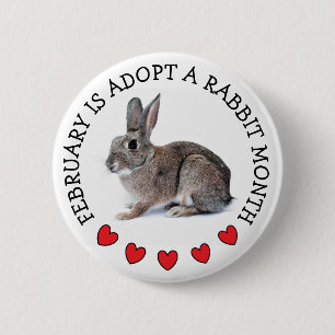 Macaron Rond 5 Cm Février est adopté un mois de lapin