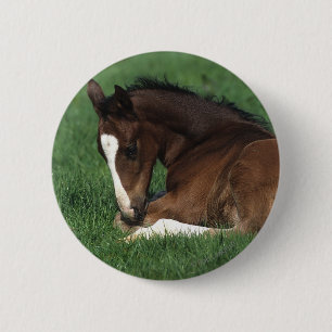 Macaron Rond 5 Cm Fixation de poulain de Warmblood