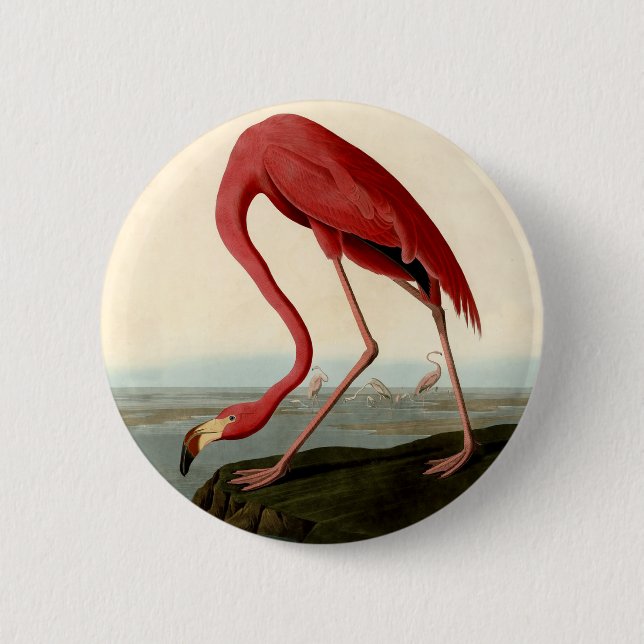 Macaron Rond 5 Cm Flamant rose américain Audubon (Devant)