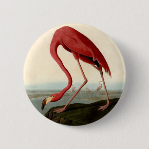 Macaron Rond 5 Cm Flamant rose américain Audubon