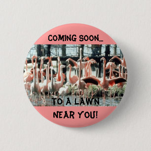 Macaron Rond 5 Cm Flamants roses, venant bientôt…, à une pelouse