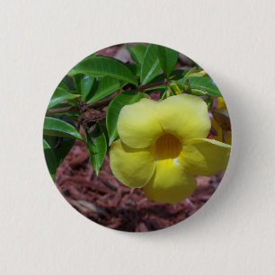 Macaron Rond 5 Cm Fleur d'Alamanda jaune