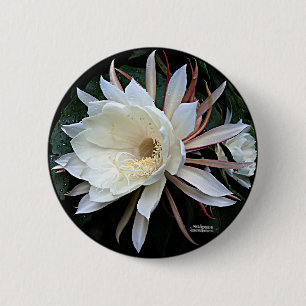 Macaron Rond 5 Cm Fleur de cactus épiphyte
