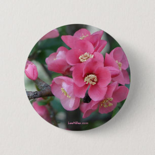 Macaron Rond 5 Cm Fleur de Cognassier à fleurs roses de printemps