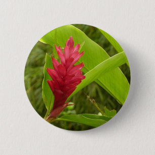 Macaron Rond 5 Cm Fleur de gingembre rouge (Alpinia) tropicale