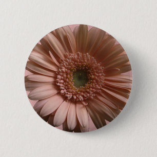 Macaron Rond 5 Cm Fleur de marguerite