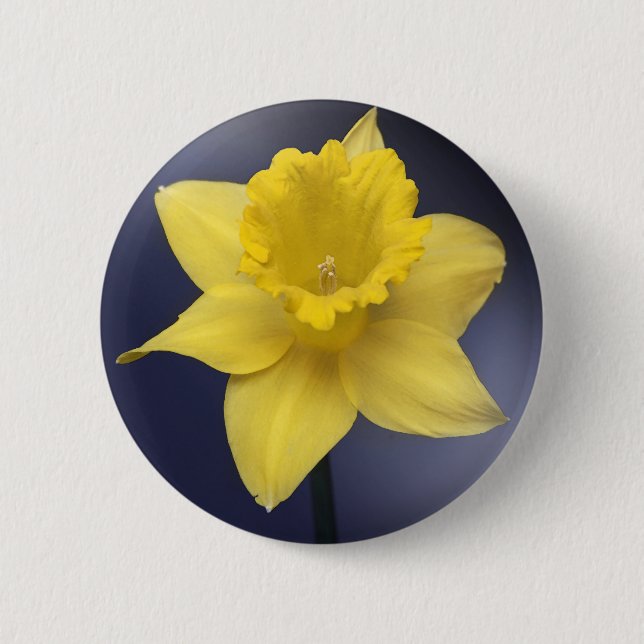 Macaron Rond 5 Cm Fleur de Narcisse jaune peinture à l'aquarelle flo (Devant)