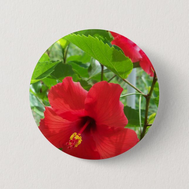 Macaron Rond 5 Cm Fleur d'hibiscus rouge tropical (Devant)